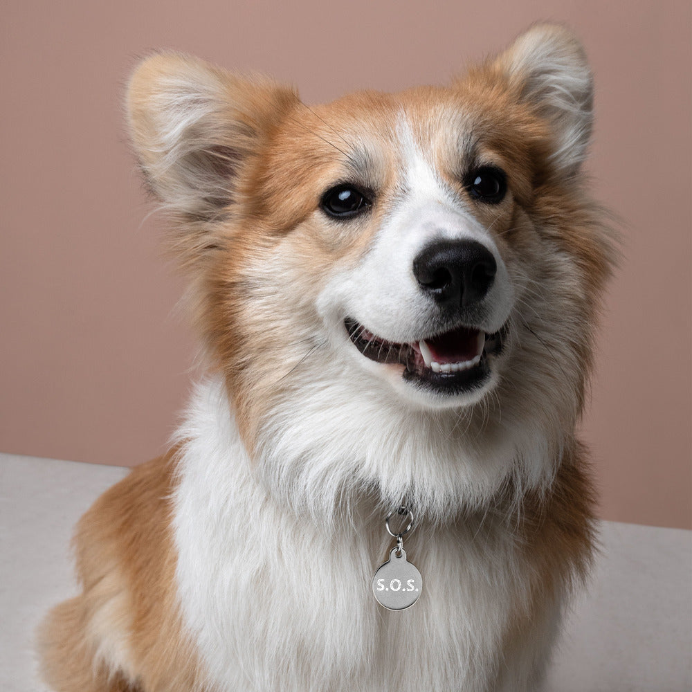 Engraved pet ID tag